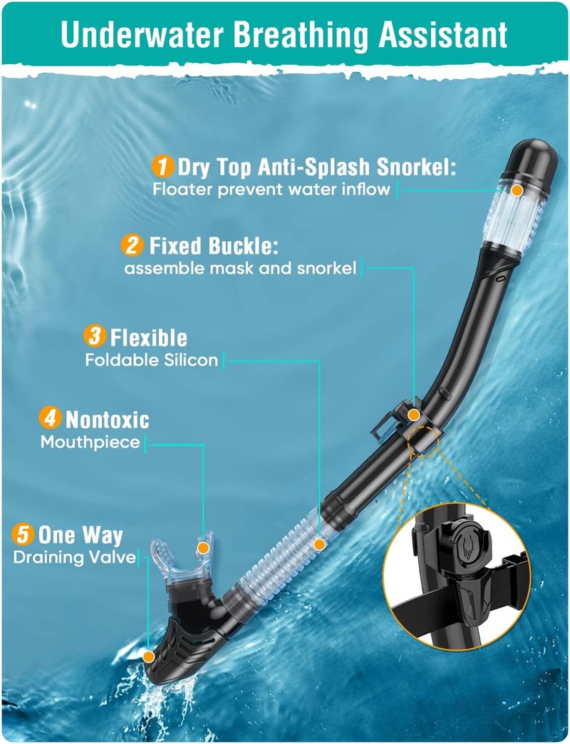 Seovediary Snorkel Set Adults Snorkeling Gear Anti-Fog Panoramic View Swim Mask Dry Top Snorkel Kit with Carry Bag for Snorkeling Scuba Diving Swimming Travel - Image 4